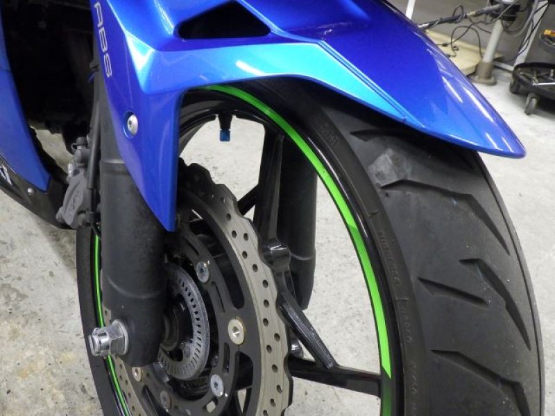 Kawasaki Bike NINJA250-2