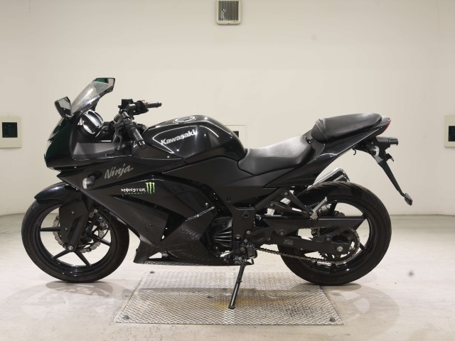 Kawasaki Ninja 250R