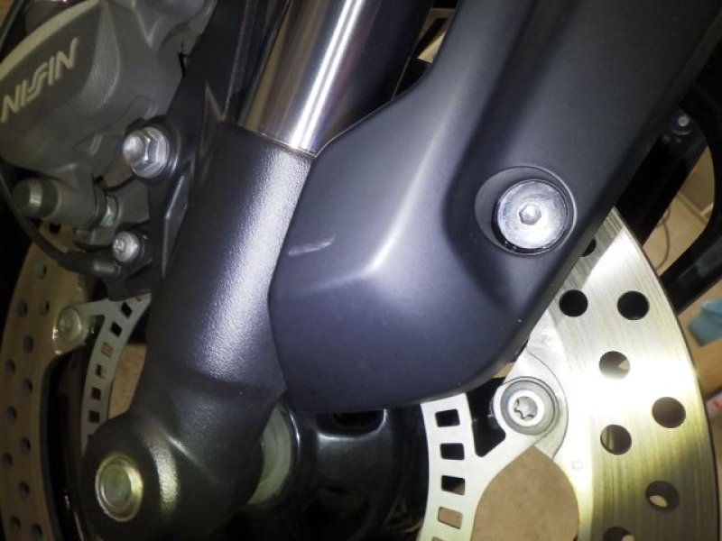 TRIUMPH TRIDENT 660